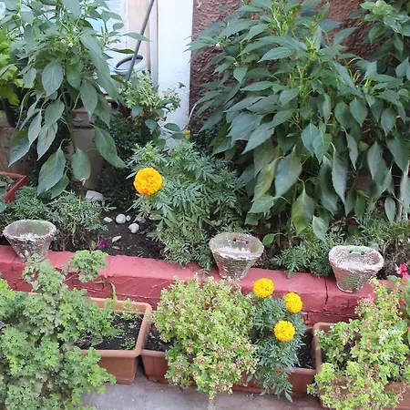 Guest house Karen Apart Istanbul